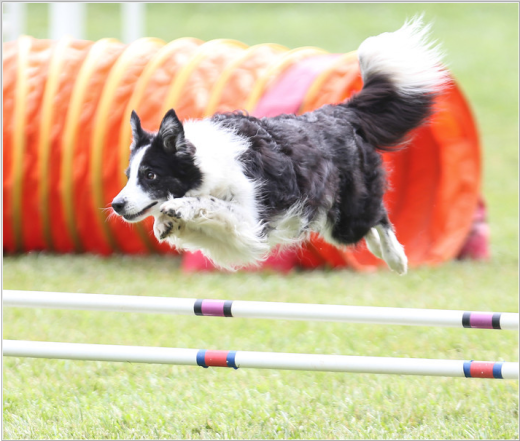 BranchwaterJune2013_3