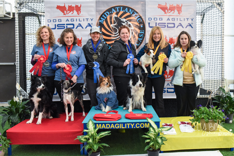 PerformanceVersatilityPairs